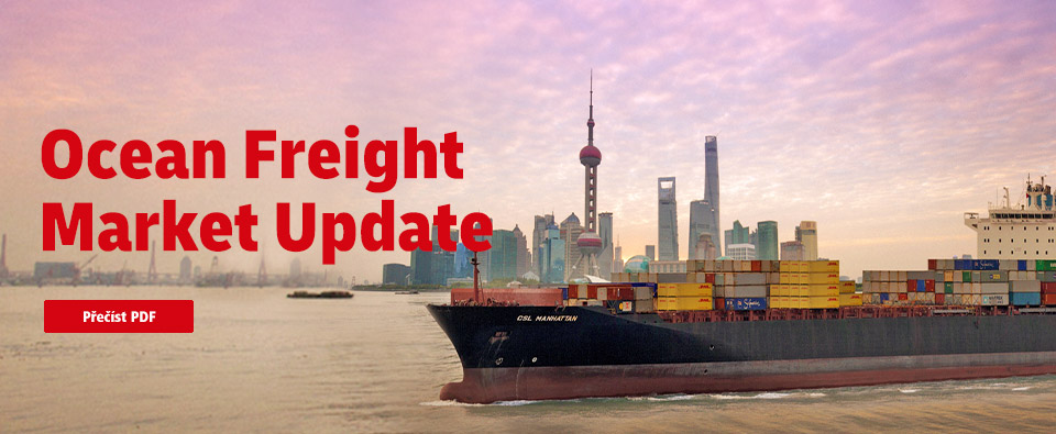 Ocean Freight Market Update
